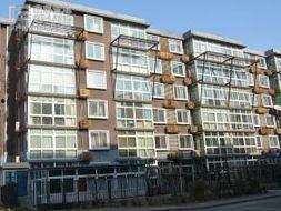 柏林在线观看,虚拟漫步这座历史名城的魅力瞬间  第2张