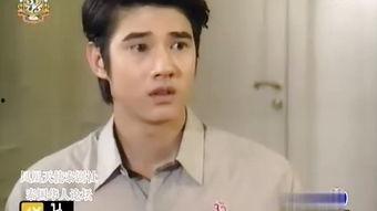 迷电视剧在线观看国语,追剧迷的在线国语盛宴  第3张