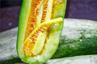 山东潍坊网红吃瓜,一场舌尖上的美食盛宴  第2张